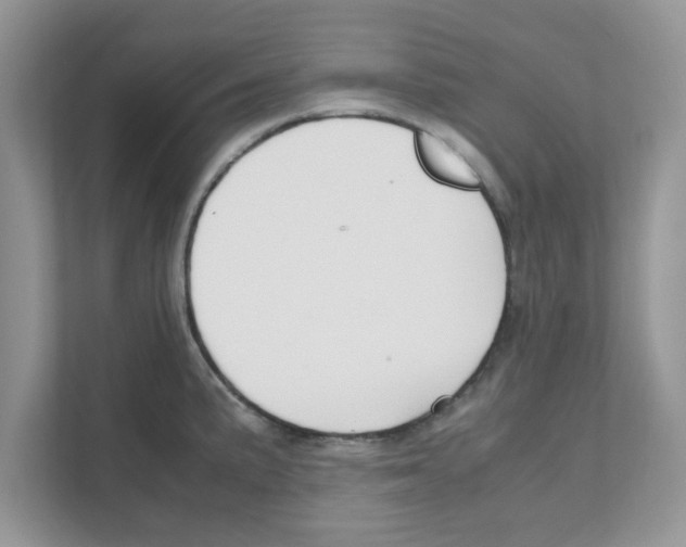 X0000110931191200907161533