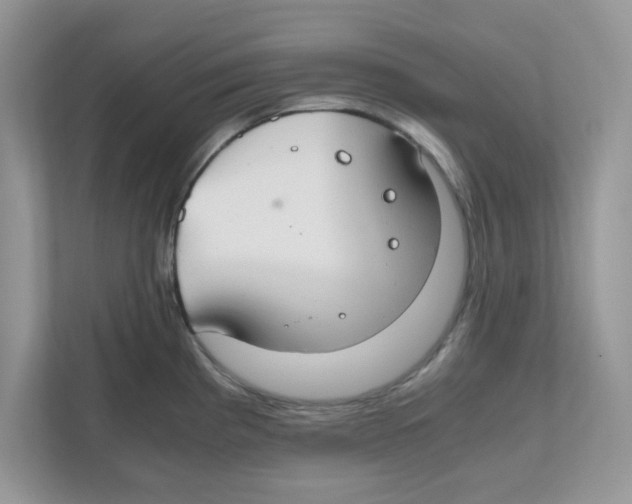 X0000110931193200907161533