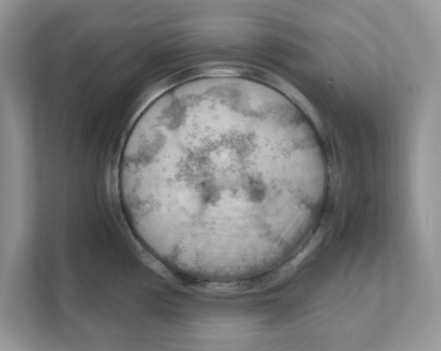 X0000110931194200907161533