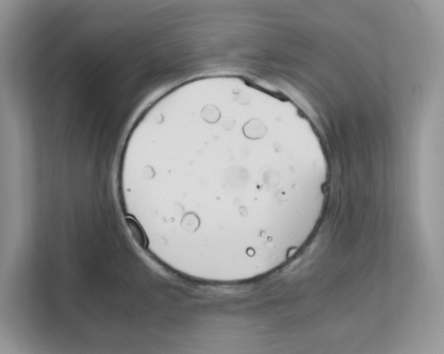 X0000110931197200907161533