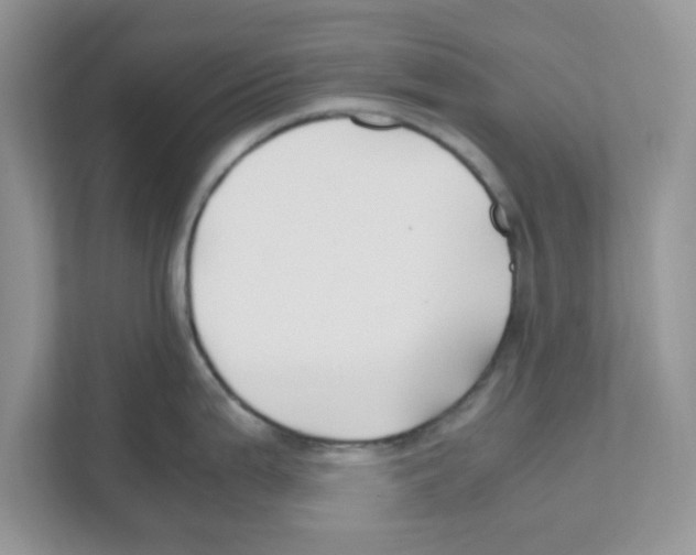 X0000110931199200907161533