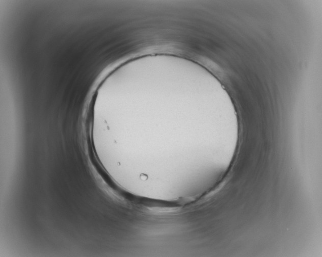 X0000110931200200907161533