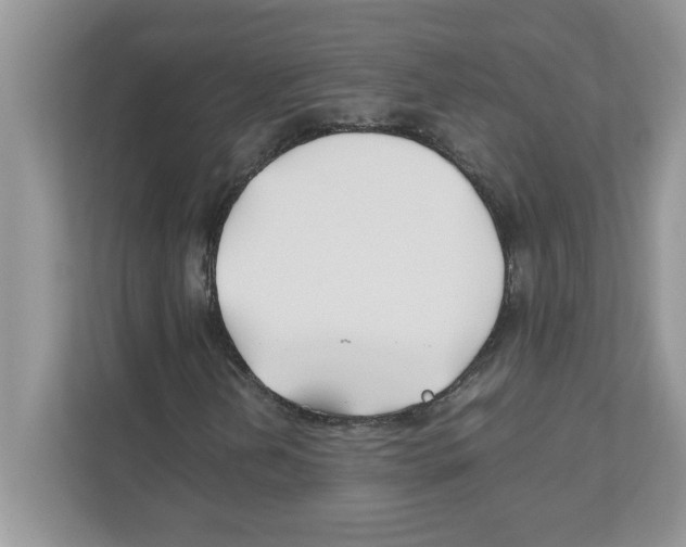 X0000110931202200907161532