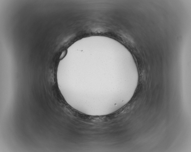 X0000110931205200907161532