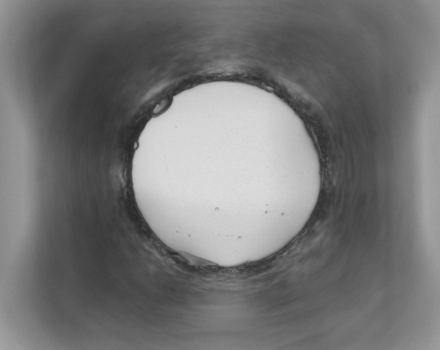 X0000110931206200907161532