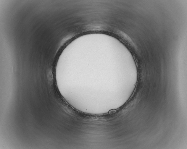 X0000110931218200907161532
