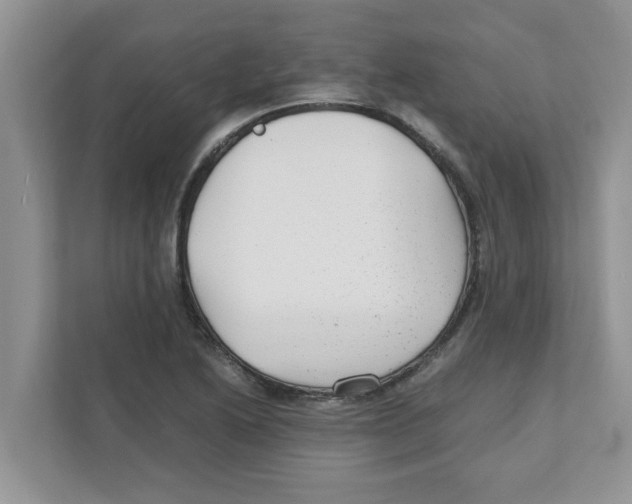 X0000110931222200907161532