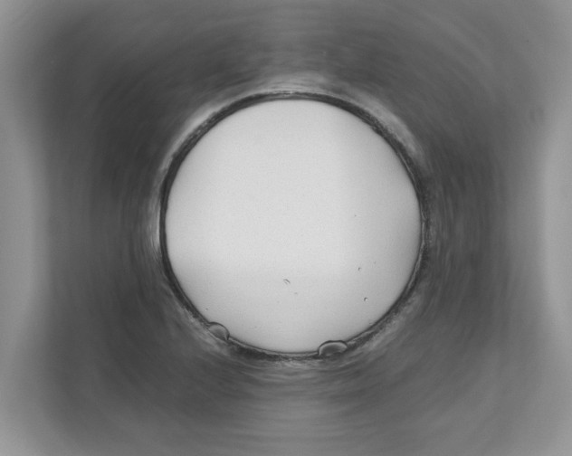 X0000110931224200907161532