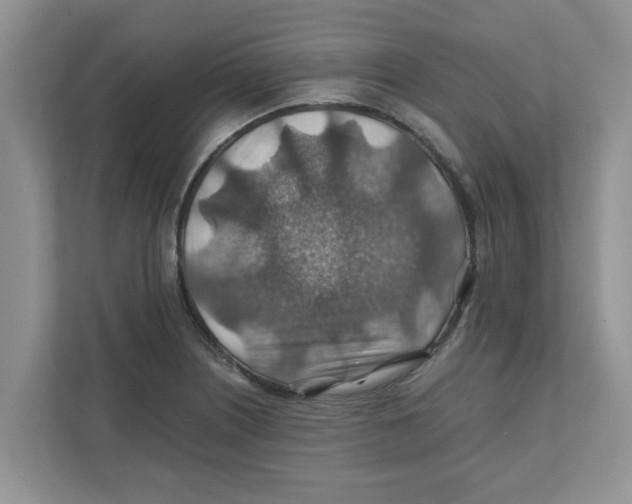 X0000110931226200907161532