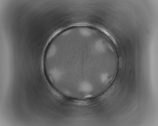 X0000110931229200907161532