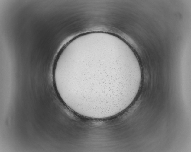 X0000110931230200907161532