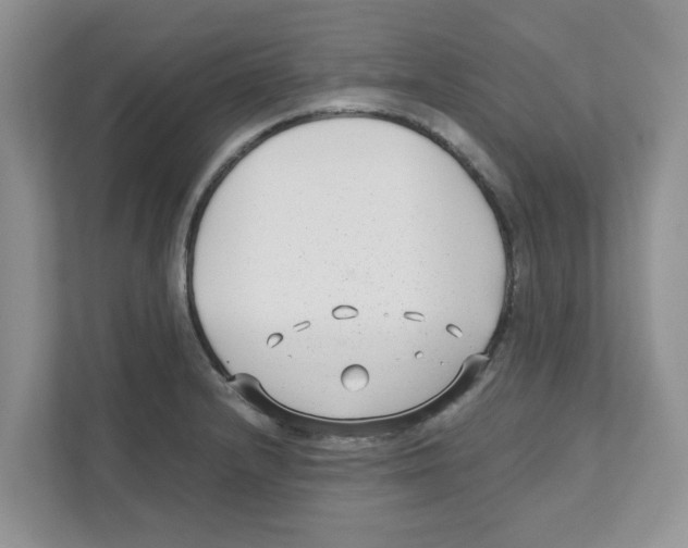 X0000110931232200907161532