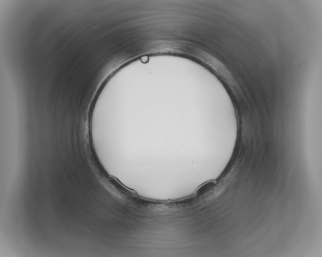 X0000110931234200907161533