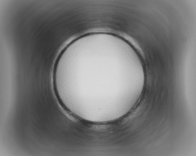 X0000110931237200907161533