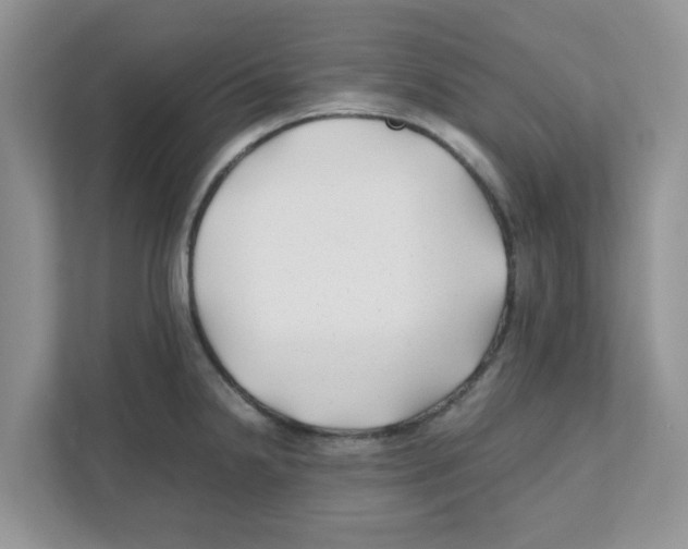 X0000110931238200907161533