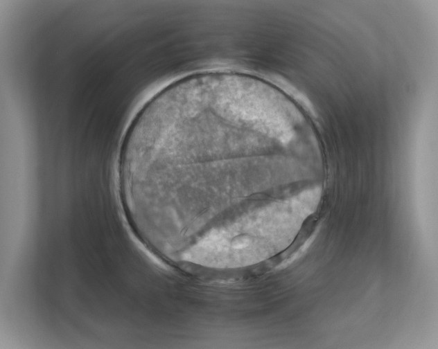 X0000110931239200907161533