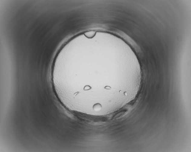 X0000110931240200907161533