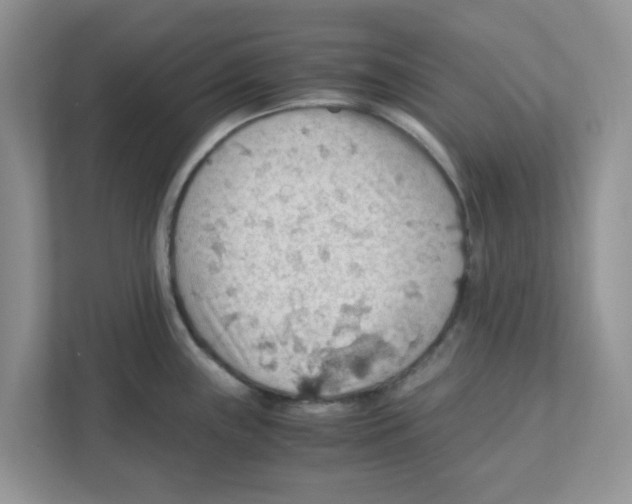 X0000110931243200907161533
