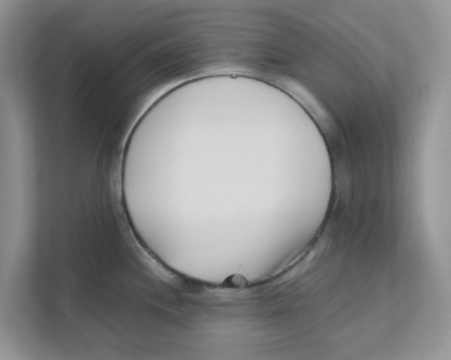 X0000110931244200907161533