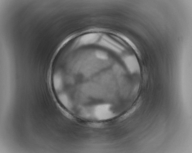 X0000110931245200907161533