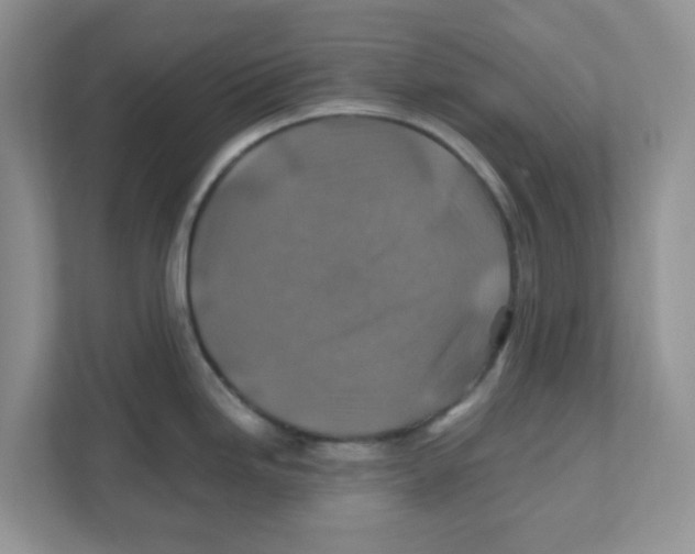 X0000110931246200907161533