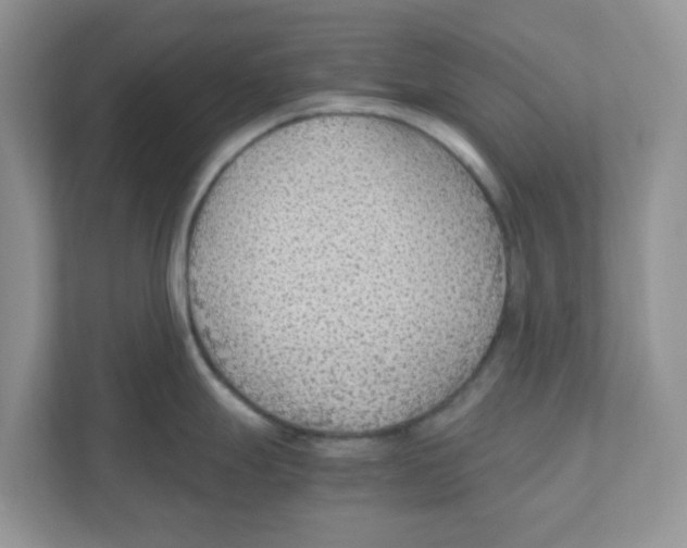 X0000110931247200907161533