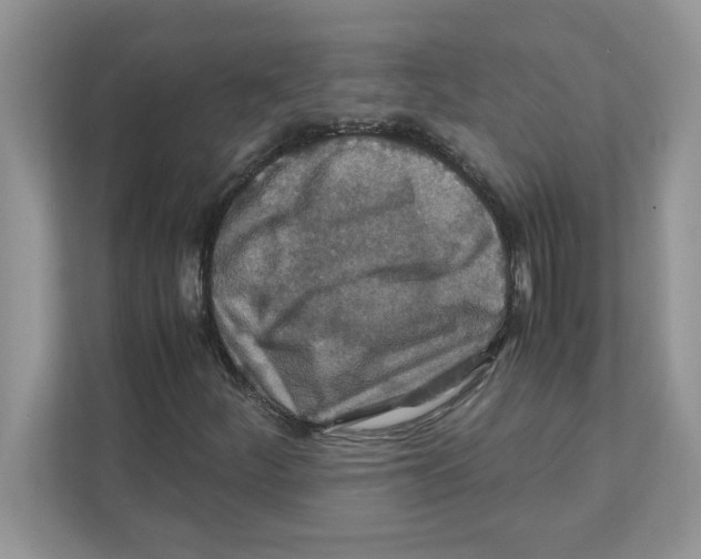 X0000110931252200907161532
