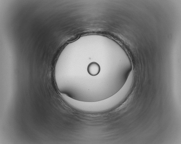 X0000110931257200907161532