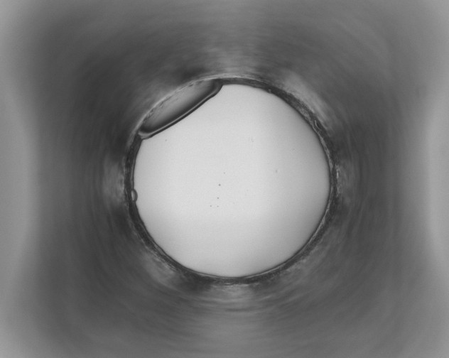 X0000110931260200907161532