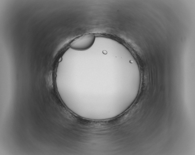 X0000110931262200907161532