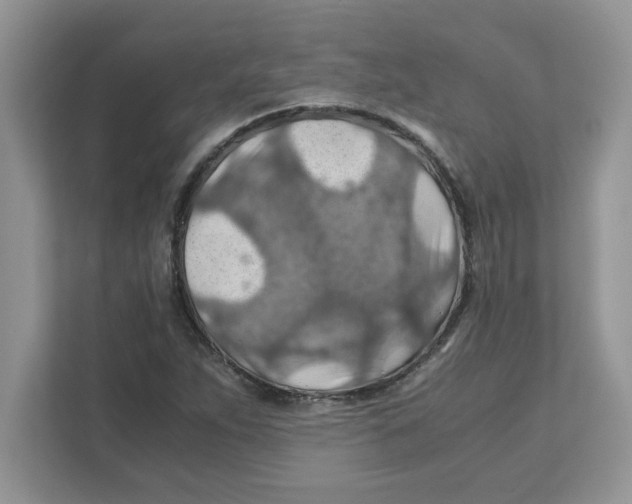 X0000110931263200907161532