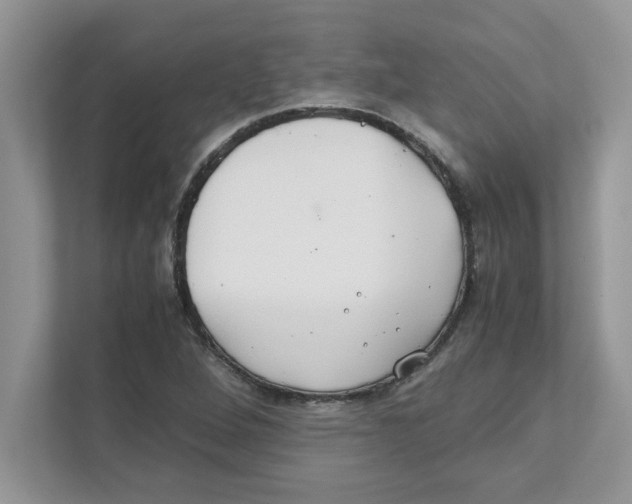 X0000110931264200907161532