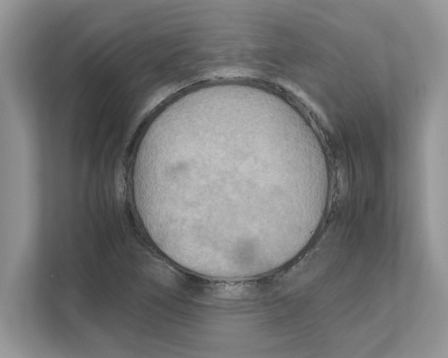 X0000110931266200907161532