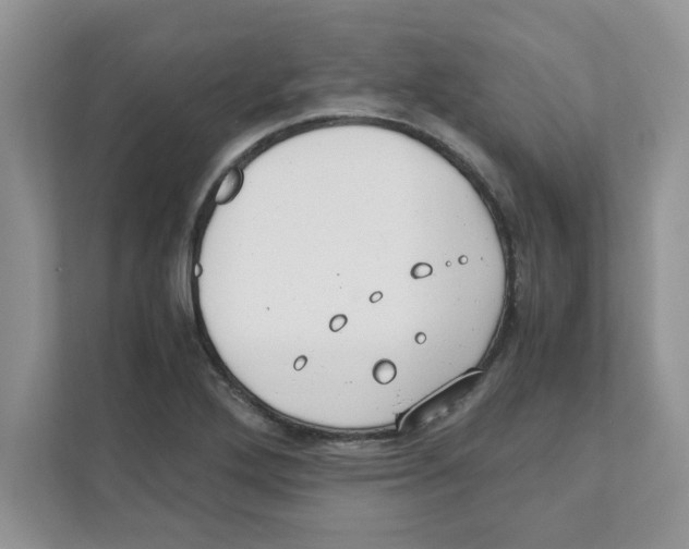X0000110931272200907161532