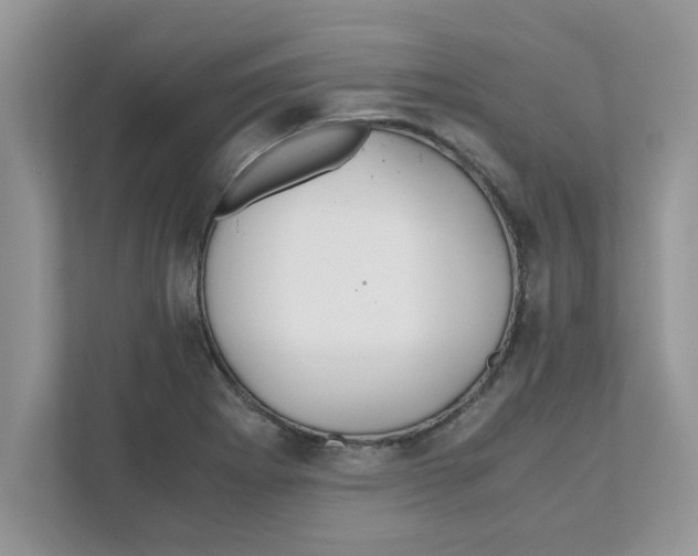 X0000110931273200907161532
