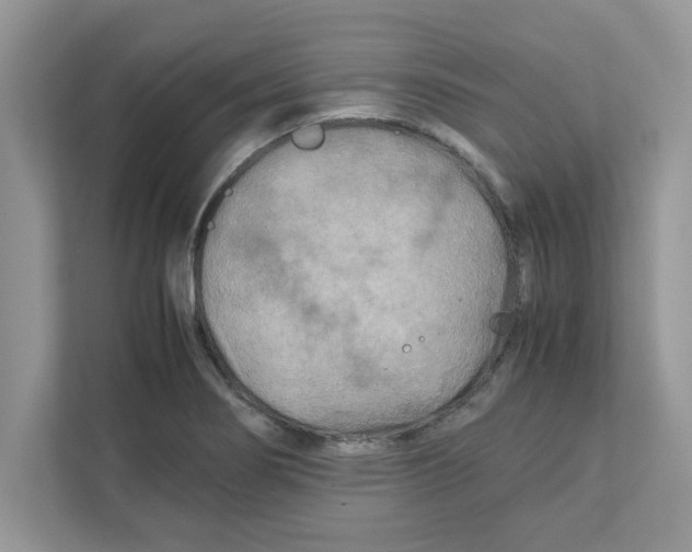 X0000110931274200907161532