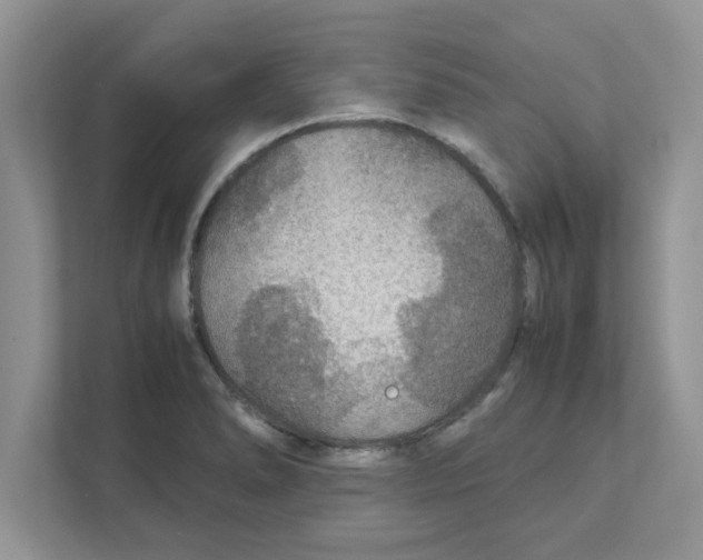 X0000110931278200907161532