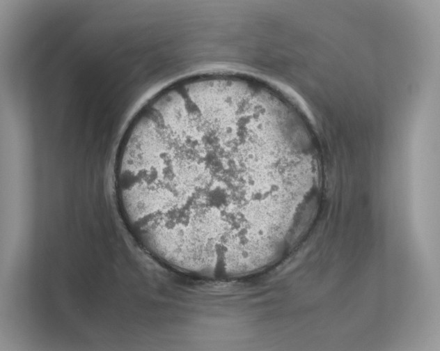 X0000110931279200907161532