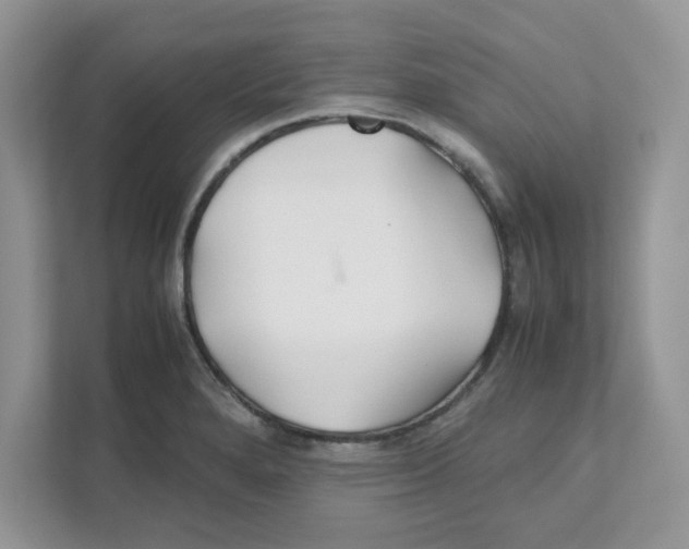 X0000110931280200907161532