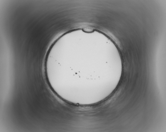 X0000110931285200907161532
