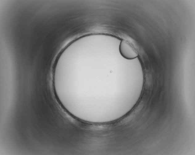 X0000110931286200907161532