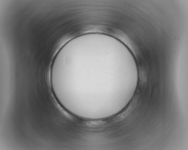 X0000110931290200907161532