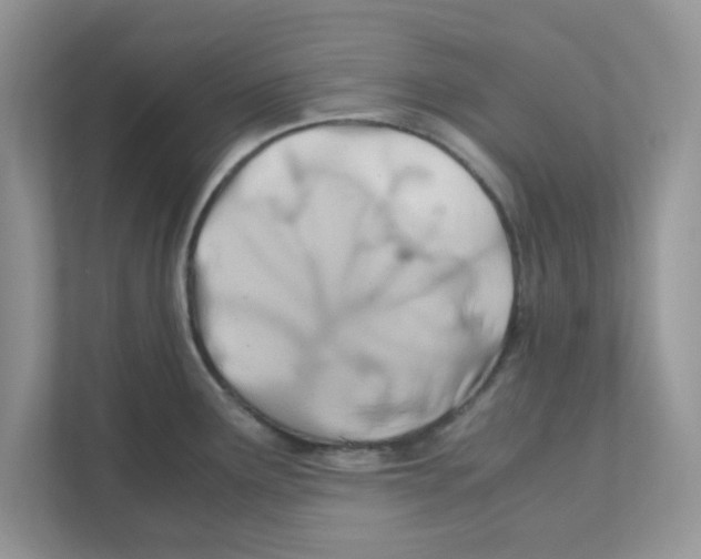 X0000110931291200907161532