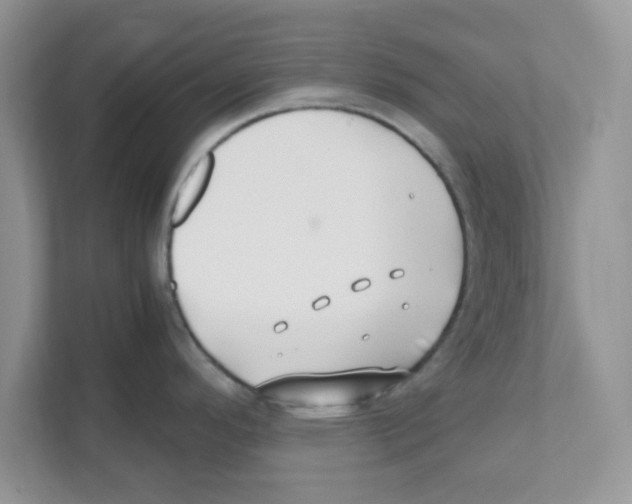 X0000110931296200907161531