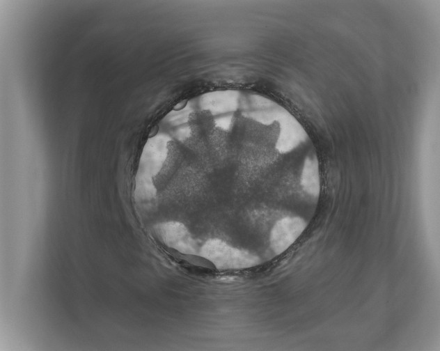 X0000110931297200907161531