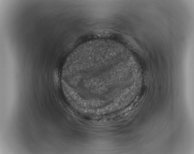 X0000110931298200907161531
