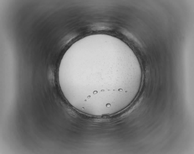 X0000110931305200907161531