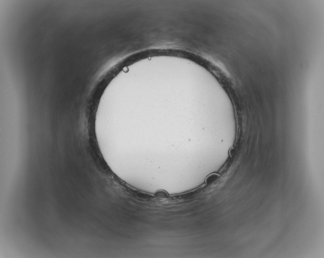 X0000110931311200907161531