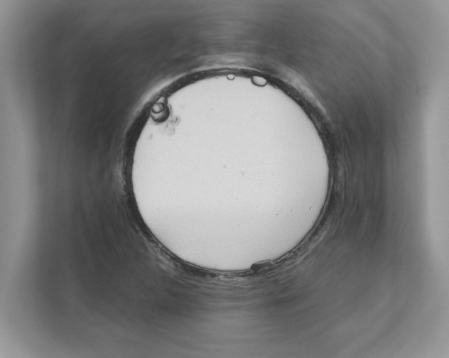 X0000110931312200907161531