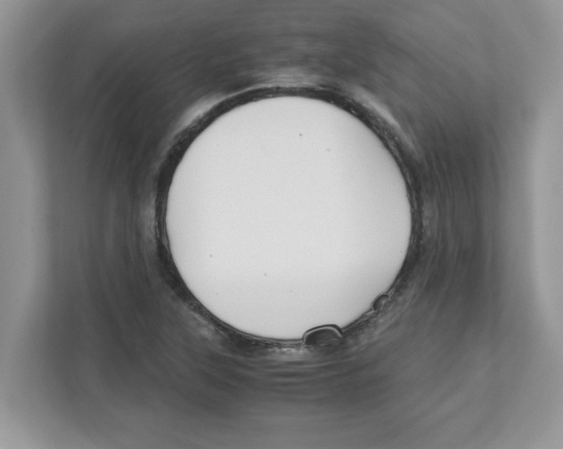 X0000110931315200907161531